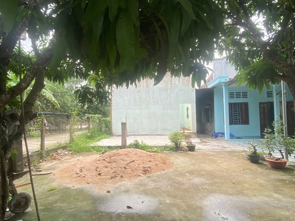 Đất lô góc 2 mặt đường Trưng Trắc, Tân An, 116m² giá 1.1 tỷ - Cơ hội đầu tư không thể bỏ qua!