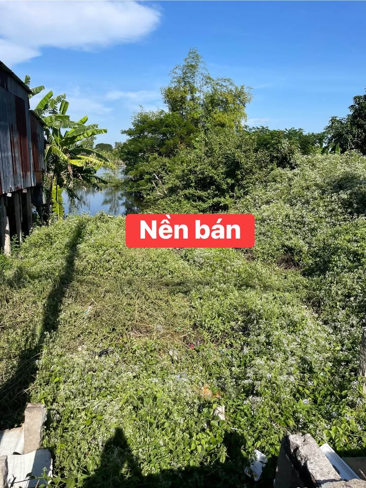 Đất nền An Giang - QL91, 128m² giá 1.5 tỷ - Cơ hội đầu tư tiềm năng!