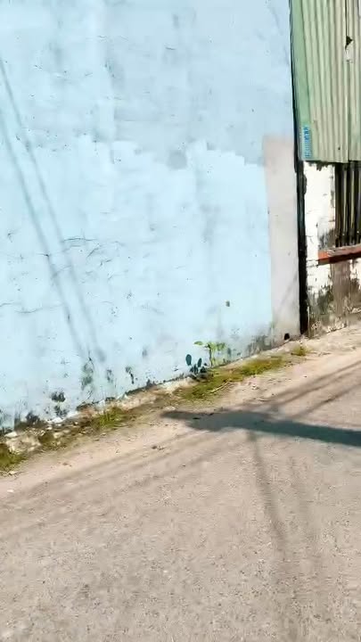 Nhà mái thái Tân Vĩnh Hiệp Tân Uyên 192m² giá 3.75 tỷ - Đầu tư sinh lời ngay!