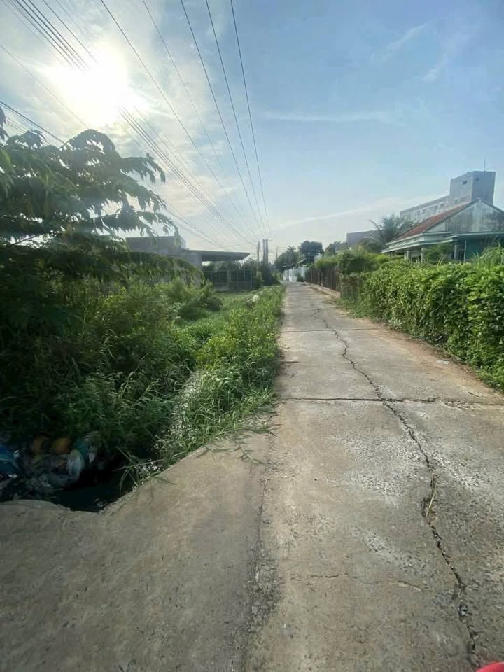 Bán đất thổ cư Kim Ngọc, xã Hàm Thắng, 300m² - Vị trí đắc địa, giá tốt!