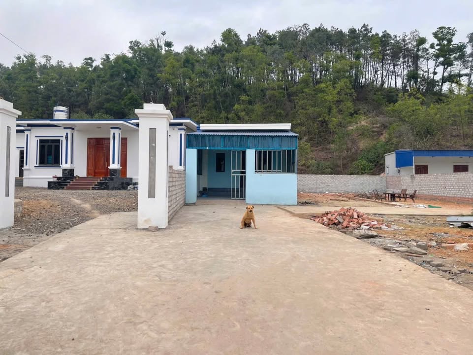 Đất nền Phù Ninh, Việt Khê, 60m² chỉ 400 triệu - Ngõ ô tô vào tận đất!