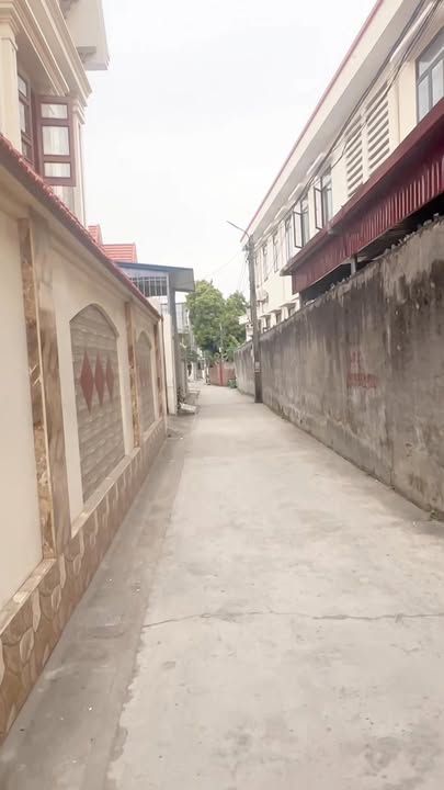 Đất Ngũ Lão Thủy Nguyên 100m² - Tiện ích đầy đủ, giá thỏa thuận!