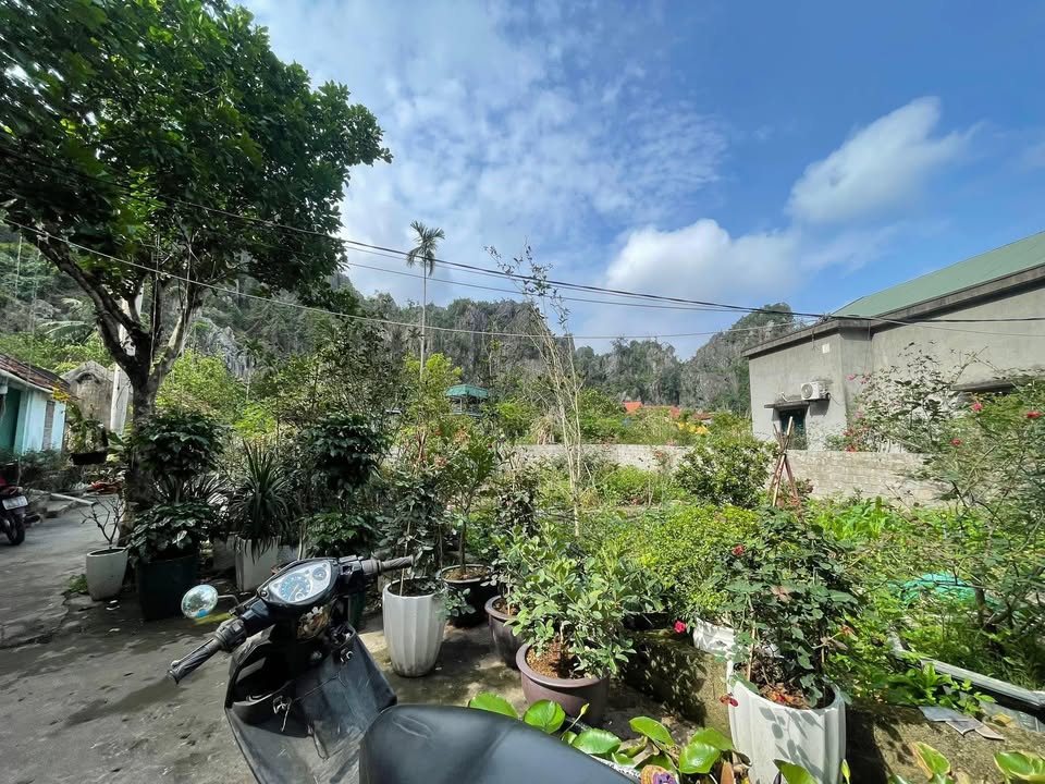 Đất nền Hà Tu Hạ Long 260m² giá 2 tỷ - Tiện ích đầy đủ, phát triển mạnh mẽ!