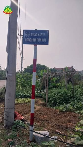 Đất vườn hoa Ninh Phúc, TP Hoa Lư 100m² giá 3 tỷ - Không gian sống trong lành!