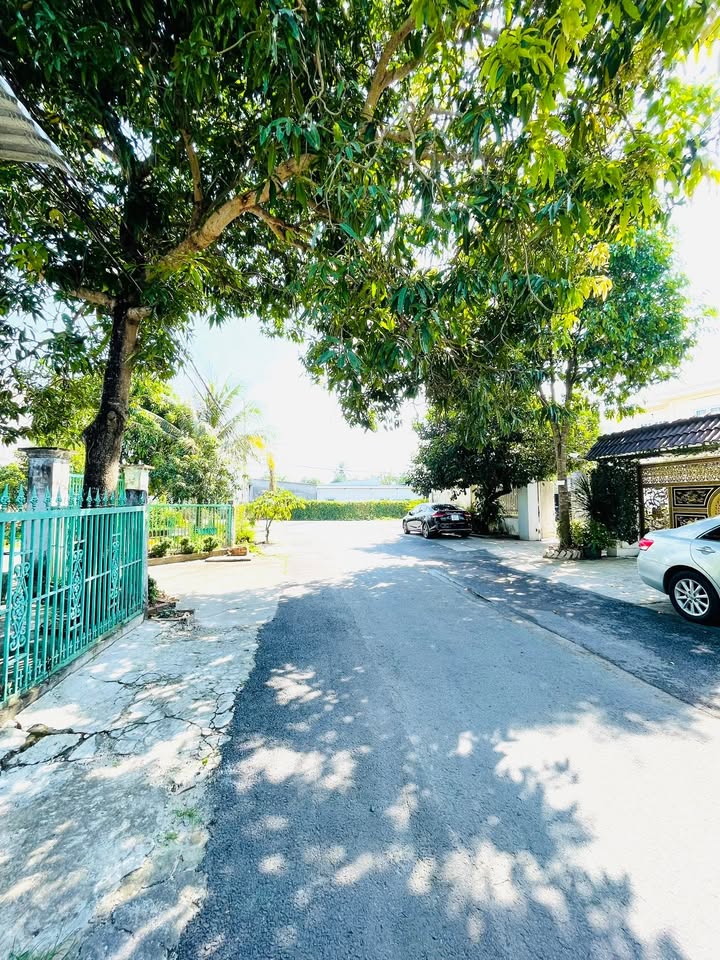 Đất thổ cư 613m² Tỉnh lộ 8, Củ Chi - Vị trí đẹp, giá tốt!