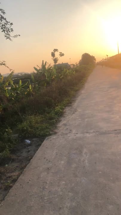 Đất nền Quỳnh Hoa, Quỳnh Lưu 217m² - Bám đường quy hoạch 30m, giá thỏa thuận!