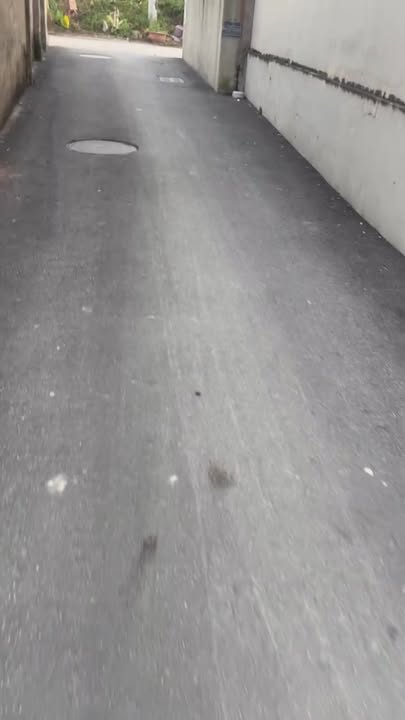 Đất thổ cư Mai Lâm, Đông Anh 47m² giá chỉ 5.6 tỷ - Cơ hội đầu tư hấp dẫn!