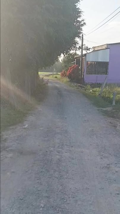 Đất nền Ấp 4 Mỹ Thạnh Bắc, Đức Huệ 230m² giá 350 triệu - Đầu tư sinh lời ngay!