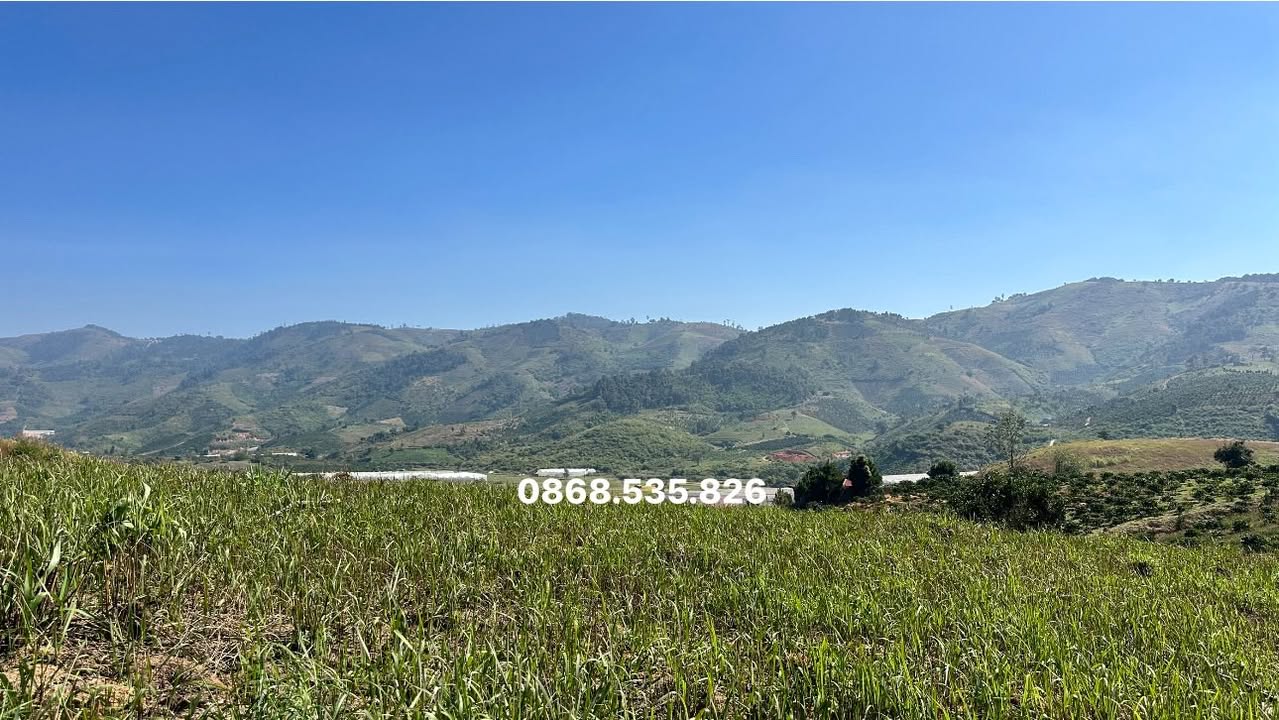 Đất nền Lâm Hà 27.869m² giá chỉ 8.361 tỷ - Sổ đỏ chính chủ, pháp lý rõ ràng!