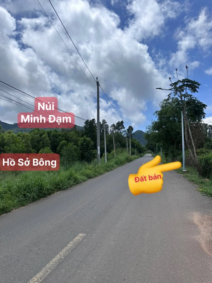 Đất thổ cư 1274m² Phước Hải - Đối diện Hồ Sở Bông - Giá chỉ 5.5 tỷ!