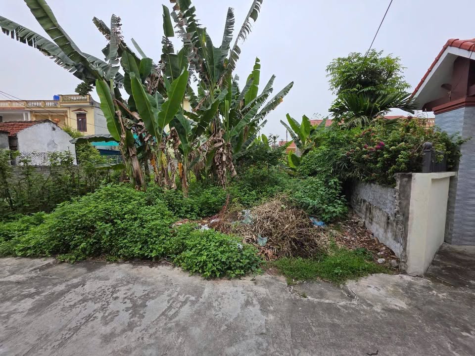 Đất nền tại xã Đồng Thịnh, Nghĩa Hưng, 129,4m² giá 800 triệu - Cơ hội đầu tư lâu dài!