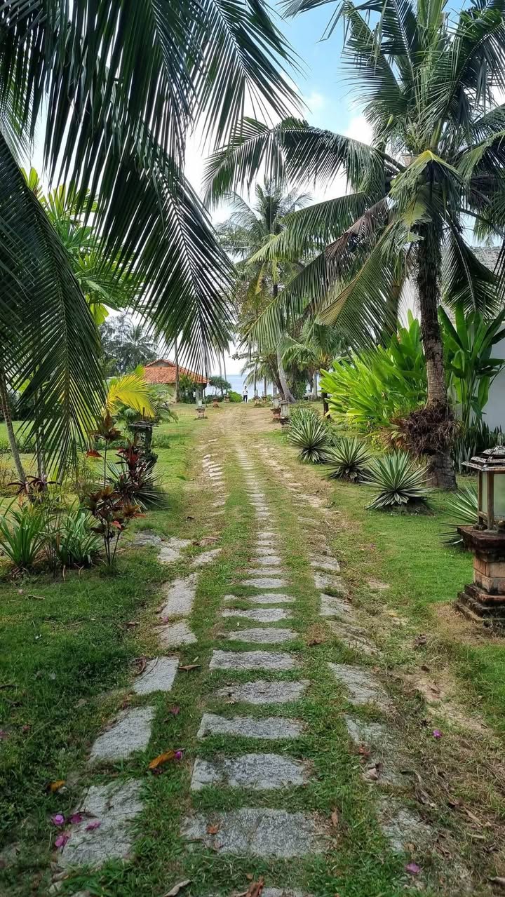 Khu nghỉ dưỡng Phú Quốc 16.790m² giá 600 tỷ - Tiềm năng sinh lời vượt trội!