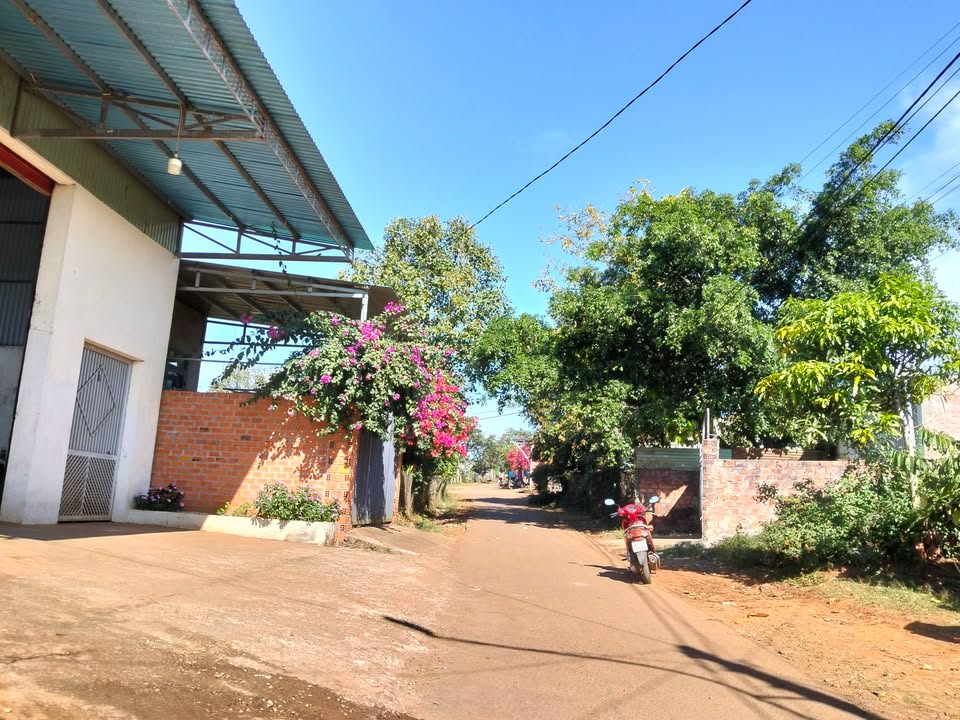 Đất thổ cư đường Nguyễn Chí Thanh, Pleiku 300m² giá 1.4 tỷ - Cơ hội đầu tư tốt!