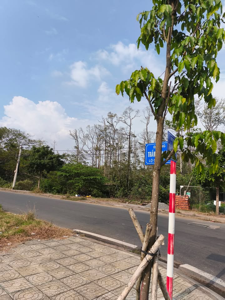 Đất nền 2000m² Trần Văn Khê, Trà Vinh giá 2.5 tỷ - Chính chủ bán gấp!