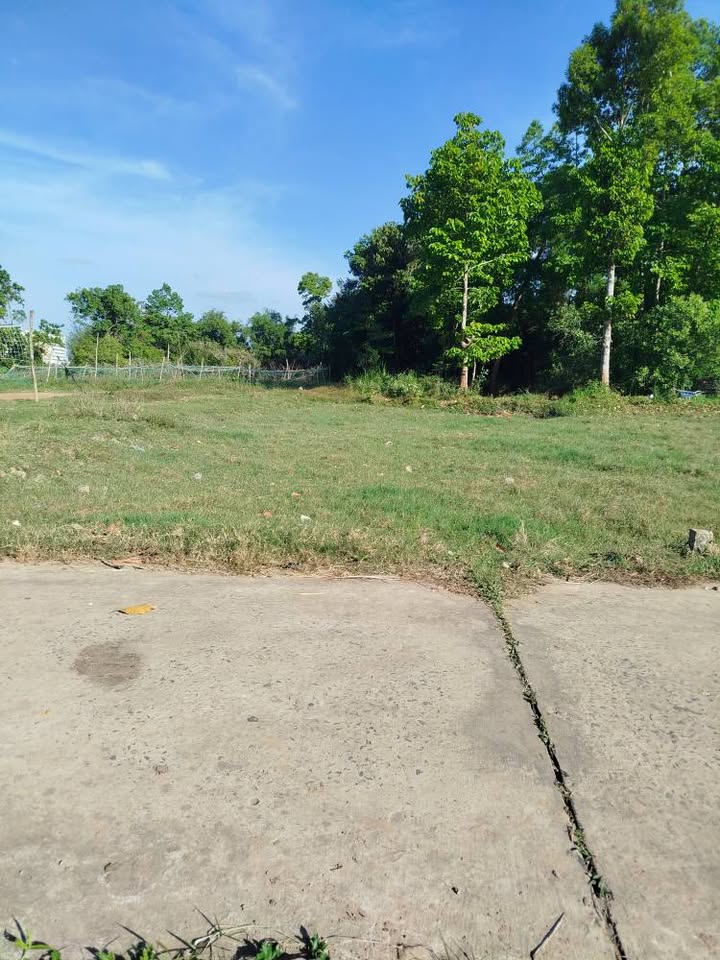 Đất nền mặt tiền đường bê tông tại Trà Vinh 178m² - Đầu tư sinh lời ngay!