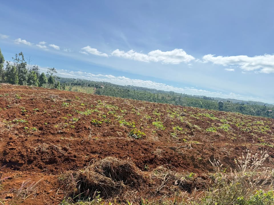 Đất nền Thôn 10, Nâm N'Jang, Đắk Song 20.000m² giá 3.4 tỷ - Pháp lý đầy đủ, vị trí đắc địa!