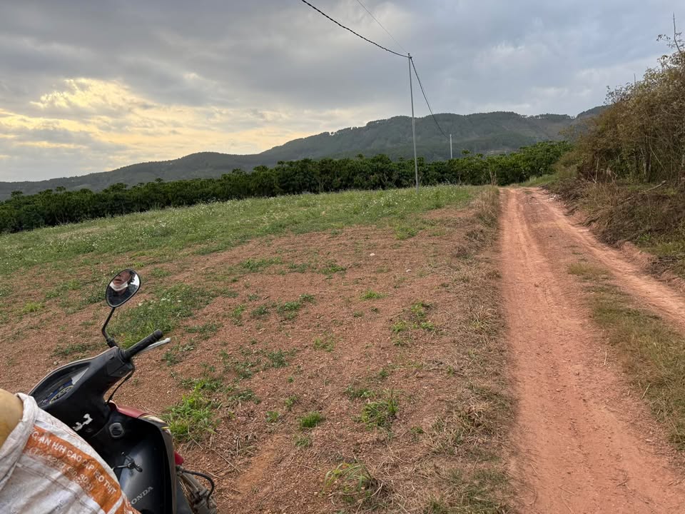 Đất nền 2 sào tại Bình Thạnh, Đức Trọng - Giá chỉ 1.1 tỷ, cơ hội đầu tư hấp dẫn!