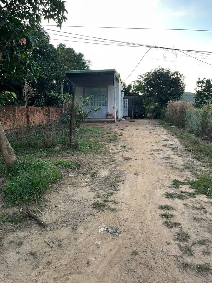 Đất thổ cư 1000m² Quốc Lộ 14 chỉ 230 triệu - Sẵn sàng đầu tư!