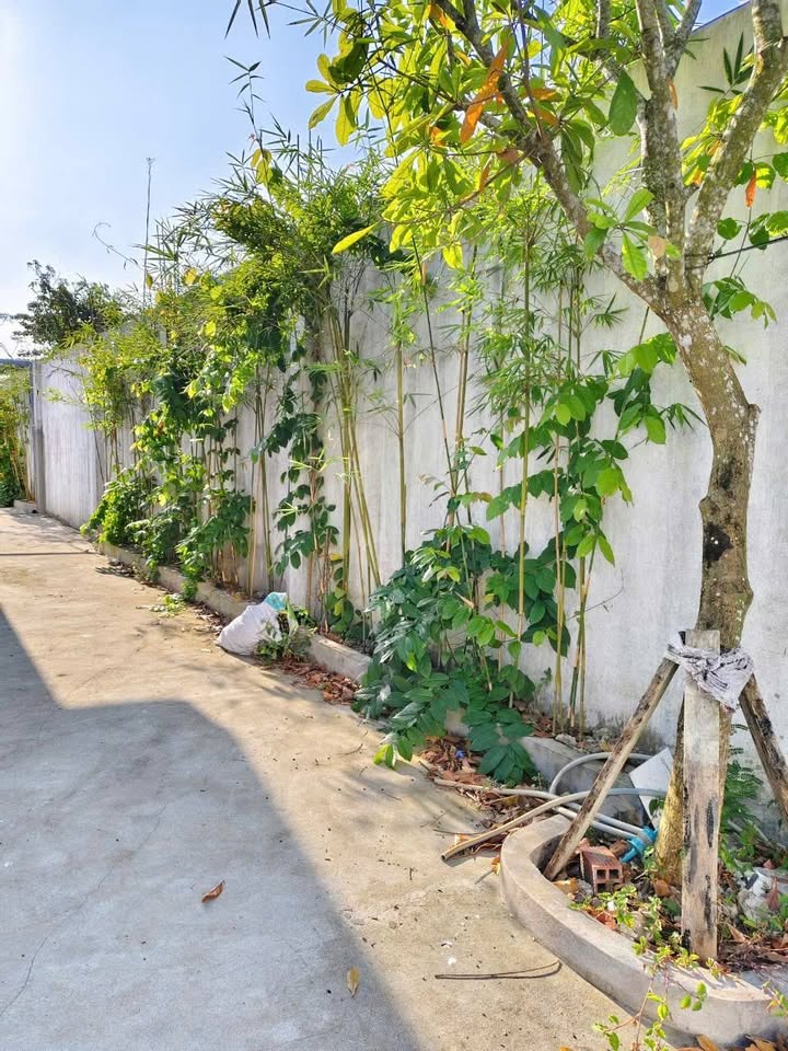 Nhà mặt tiền Trần Hưng Đạo, Ninh Kiều, Cần Thơ 328m² - Bán gấp chỉ 2.99 tỷ!