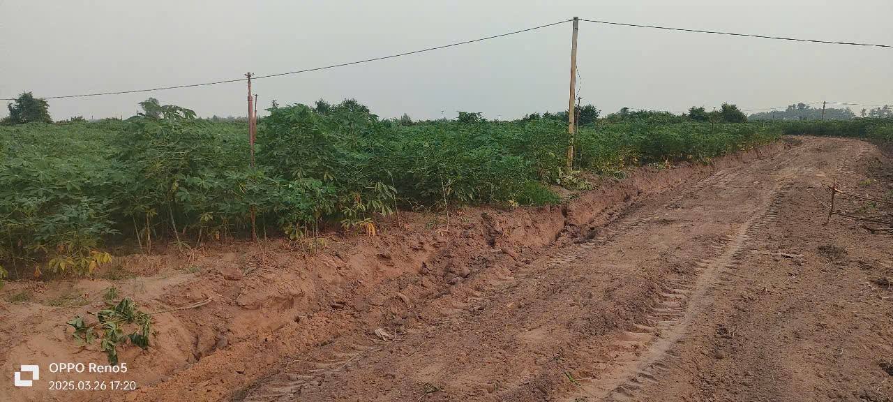 Đất nền Dương Minh Châu 12000m² giá 2.5 tỷ - Đầu tư sinh lời tốt!