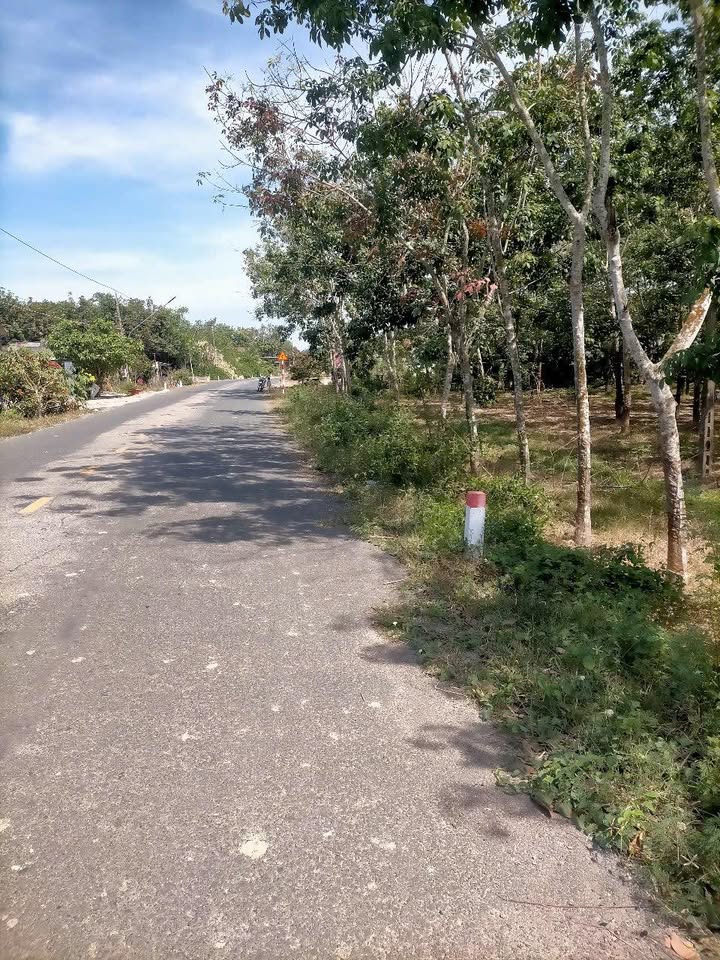 Đất mặt tiền HL3 Châu Thành, Tây Ninh 2320m² giá 2 tỷ - Đầu tư sinh lời!