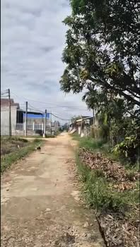 Đất nền Cát Tường Phù Cát 124m² giá 4xx triệu - Cơ hội đầu tư hấp dẫn!