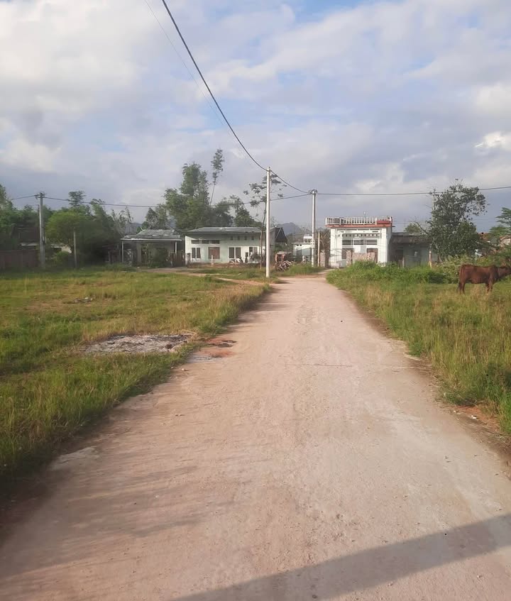 Đất nền An Hoà 1, Phước An, Tuy Phước 100m² giá 500 triệu - Cơ hội đầu tư hấp dẫn!