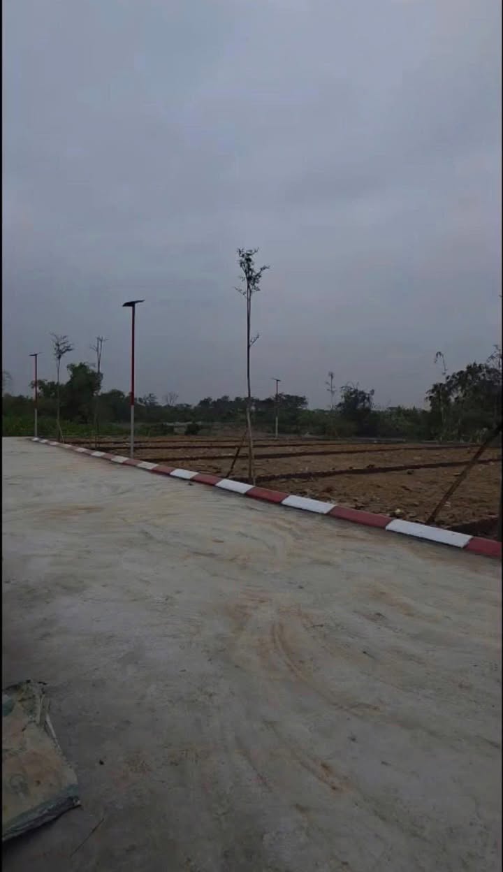 Đất nền Tân Sơn Lục Ngạn 117.4m² giá chỉ 6xx triệu - Cơ hội đầu tư tuyệt vời!