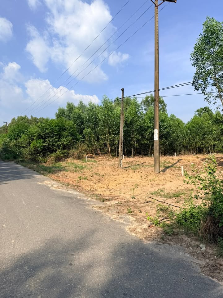 Đất nền 1 sào mặt tiền đường D9, Phước An - Cơ hội đầu tư tuyệt vời!