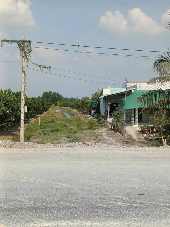 Đất vườn Thủ Thừa Long An 1000m² giá 2.7 tỷ - Tiềm năng tăng giá mạnh!