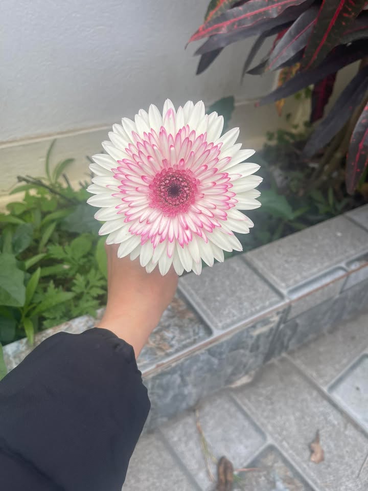 Đất Liên Am, Vĩnh Bảo 300m² giá 800 triệu - Cơ hội đầu tư tuyệt vời!