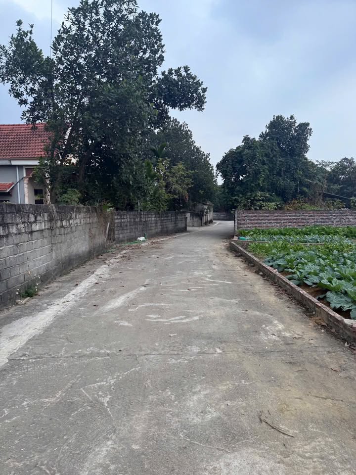 Đất nền Vật Lại - Ba Vì 450m² giá 2 tỷ - Vị trí đắc địa, dân cư đông đúc!