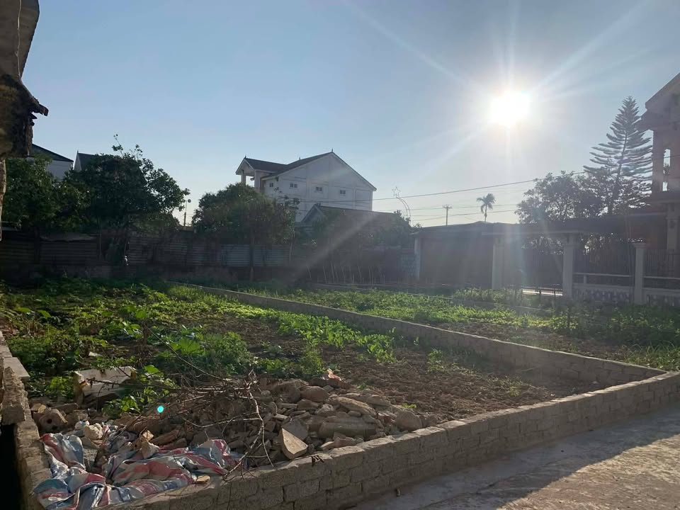 Đất nền Diễn Tháp, Diễn Châu 115m² giá 1 tỷ - Đầu tư sinh lời ngay!