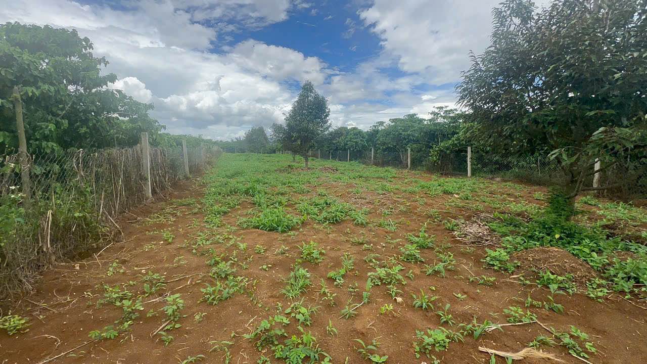 Đất 1900m² mặt tiền đường Âu Cơ, Bảo Lâm 2.2 tỷ - Đầu tư sinh lời ngay!