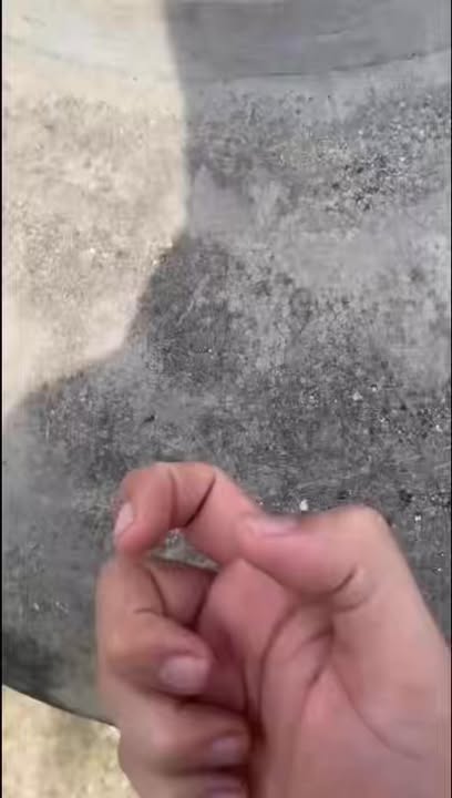 Đất nền Hòa Xuân 163m² giá 1.65 tỷ - Đầu tư sinh lời ngay!