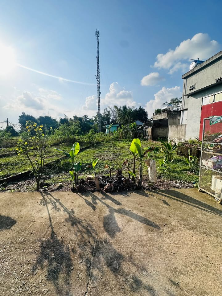 Đất thổ cư Hòa Xuân, Đà Nẵng 193m² chỉ 2 tỷ - Đầu tư sinh lời ngay!