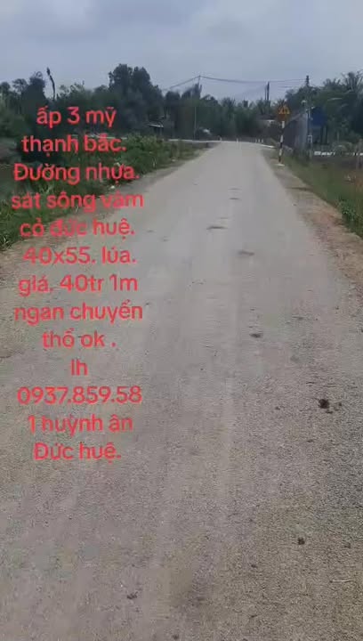 Đất lúa 2200m² tại Đức Huệ - Sổ hồng riêng, giá chỉ 2.2 tỷ!