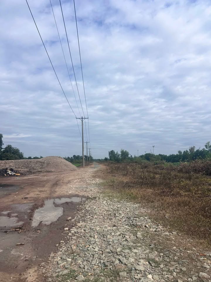 Đất nền Củ Chi 12.505m² giá 9.6 tỷ - Đầu tư sinh lời hấp dẫn!