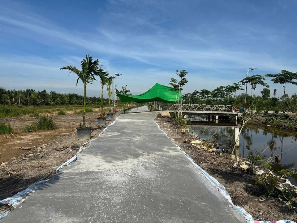 Đất nền Phước Lập, Tân Phước, Tiền Giang 205m² giá 350 triệu - Sổ hồng riêng, ô tô vào tận nơi!