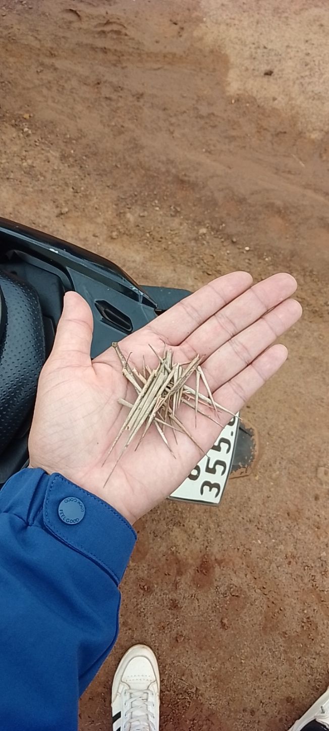 Đất thổ cư Chợ Mỹ Thạch, Chư Sê 268m² giá 1,1 tỷ - Đầu tư sinh lời ngay!