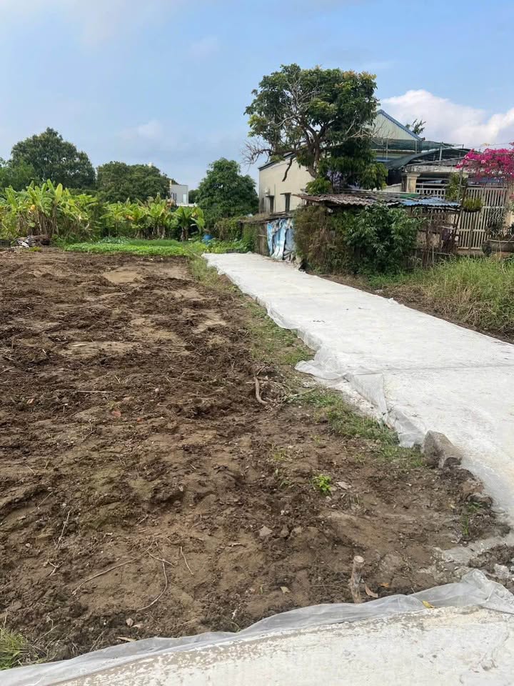 Đất nền lô góc Mỹ Phúc 112m² giá 1.49 tỷ - Đầu tư sinh lời ngay hôm nay!