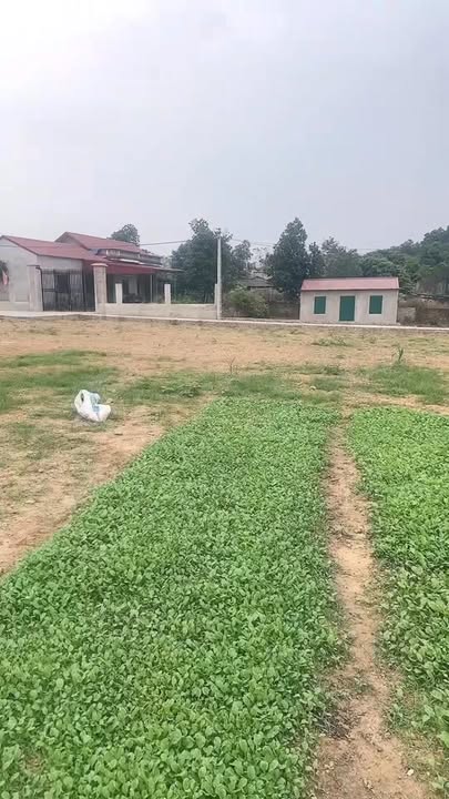 Đất nền Gò Gạo, Minh Trí, Sóc Sơn 119m² giá chỉ 2.14 tỷ - Cơ hội đầu tư tuyệt vời!