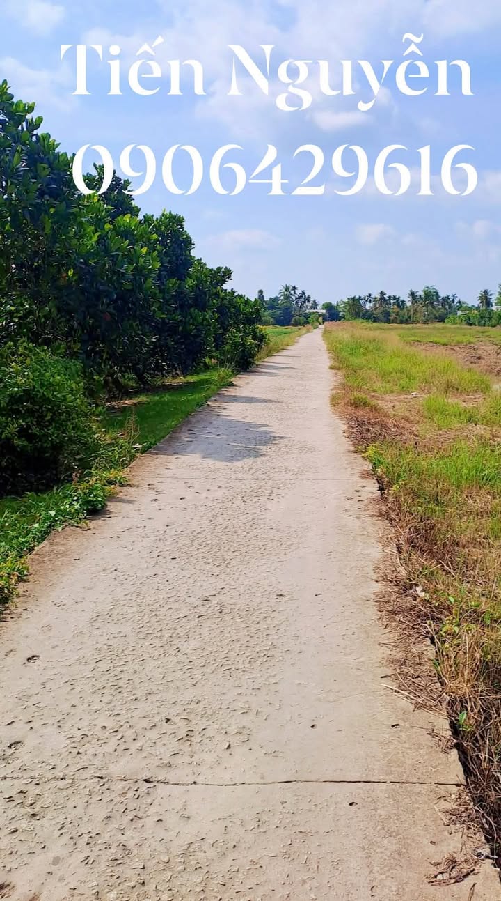 Đất nông nghiệp Trường Thắng, Thới Lai 10.000m² giá chỉ 3 tỷ - Đầu tư sinh lời nhanh!