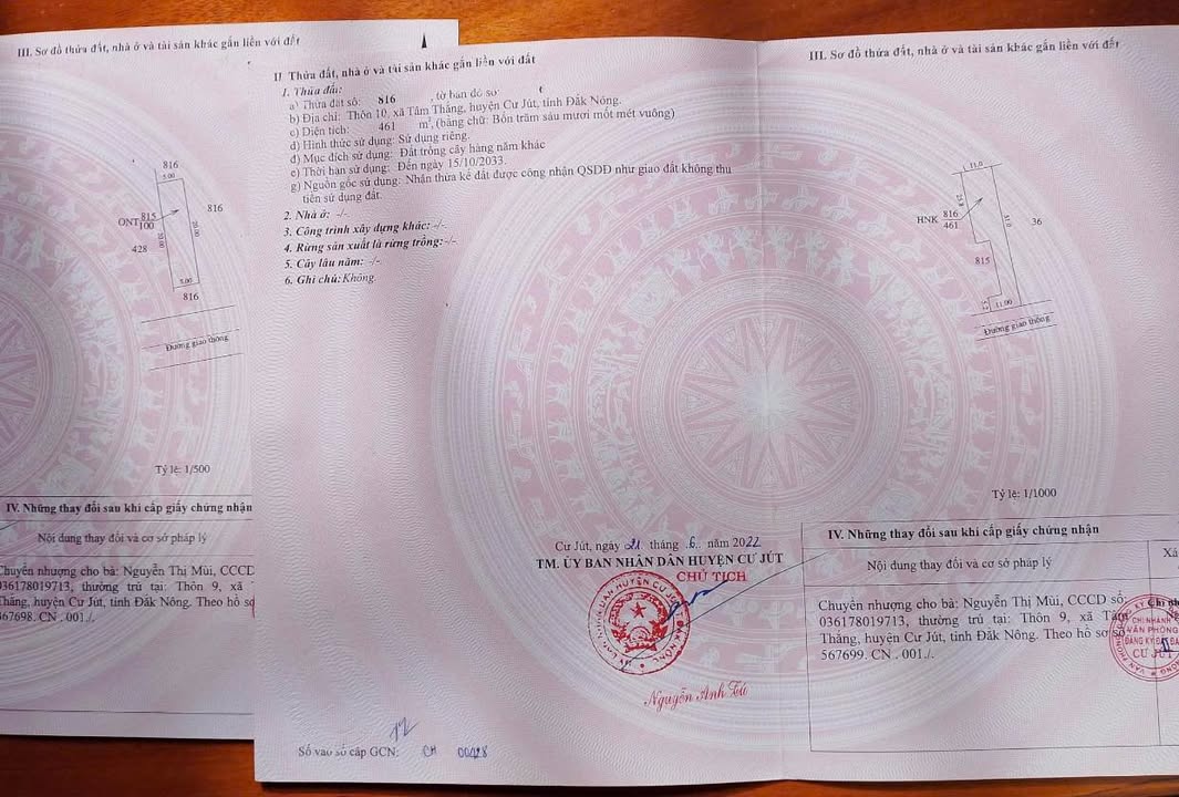 Đất nền 500m² tại Tâm Thắng, Cư Jút - Giá chỉ 120 triệu - Cơ hội đầu tư hấp dẫn!