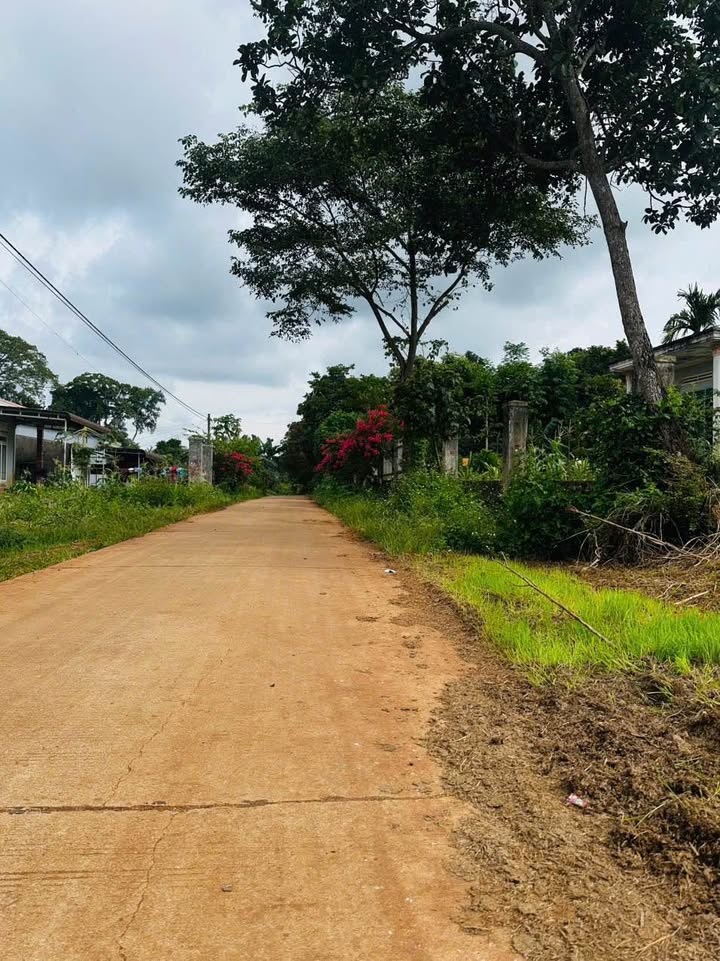 Đất nền Cư Suê 135m² giá 375 triệu - Đường lớn ô tô né nhau thoải mái!