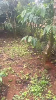 Đất nền đẹp tại Tân Thượng, Di Linh 70m² giá 2.1 tỷ - Cơ hội đầu tư tuyệt vời!