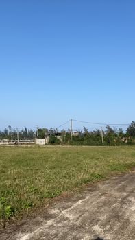 Đất nền Nghi Xuân 202.5m² giá 1.3 tỷ - Cách đường ven biển chỉ 80m!