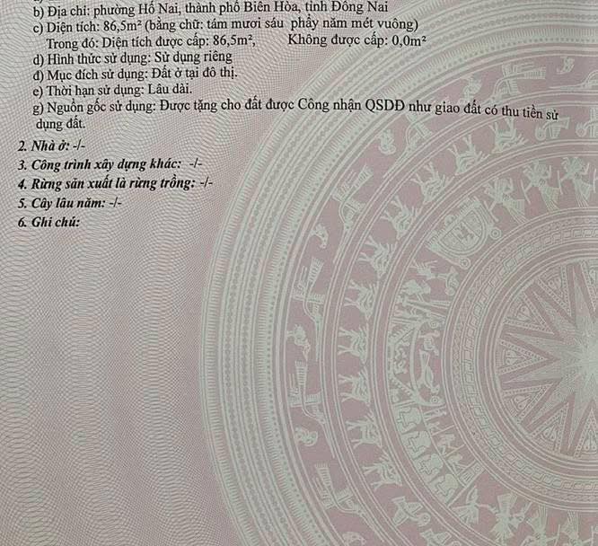 Đất thổ cư Hố Nai Biên Hòa 87m² giá 1.65 tỷ - Sổ đỏ riêng, không quy hoạch!