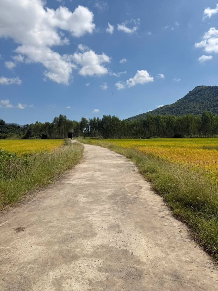 Đất nền Diên Sơn 1700m² giá chỉ 149 triệu - Cơ hội đầu tư sinh lời!