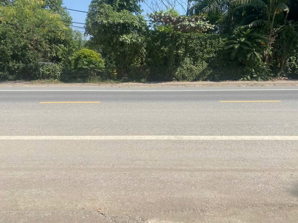 Đất nền Tam Điệp 216m² giá thỏa thuận - Mặt đường kinh doanh sầm uất